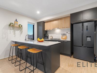 58 Alexander Boulevard, Clyde North