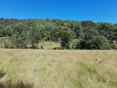 . Bullhead Road, Mitta Mitta