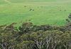 Back Valley