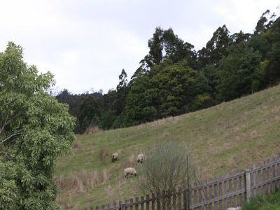 763 Woodbridge Hill Road, Gardners Bay