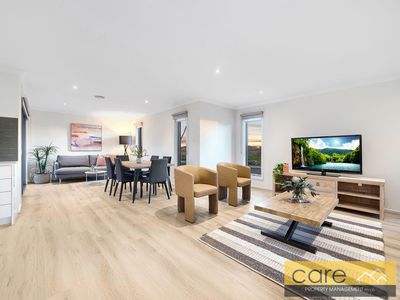 60A Banjo Circuit, Lynbrook