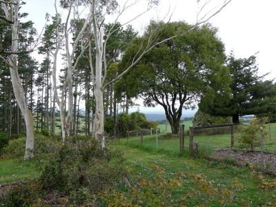 61 Missingham Parade, Robertson