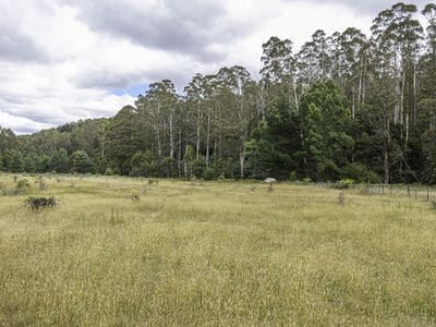 Lot 2, Fyfes Road, Mountain River