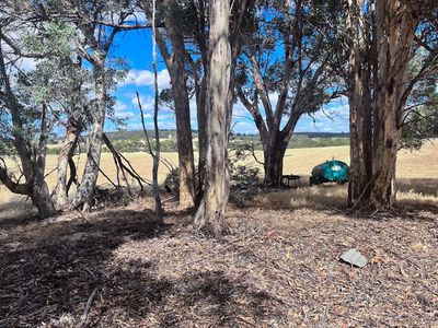 174 Talbot Hall Road, Talbot