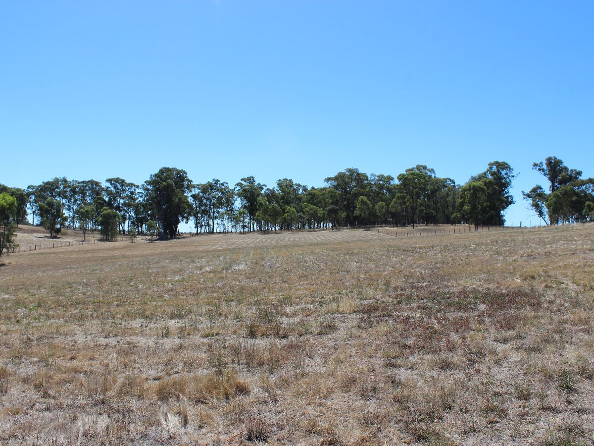 Lot 46, Lakeside Drive, Chesney Vale