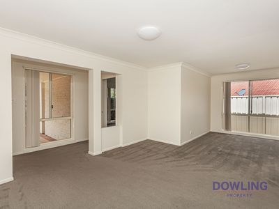 89 Coachwood Drive, Medowie