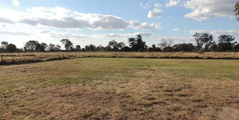 52-54 Birkett Street, Euroa