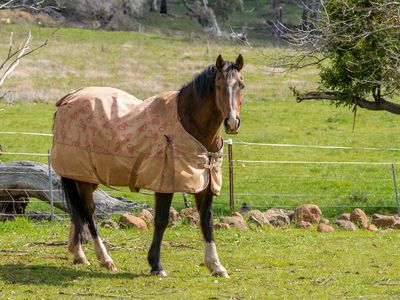 584 Huntley Road, Huntley