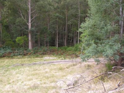 Cowmeadows Road, Cradoc