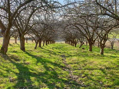 Lot 3 Scotts Road, Geeveston