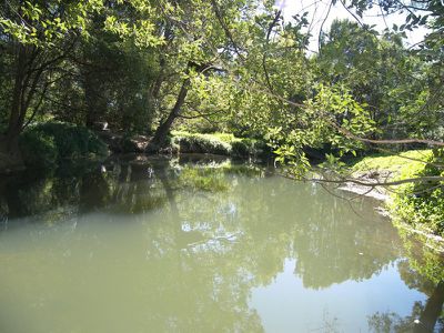59 Crabbes Creek Rd, Crabbes Creek