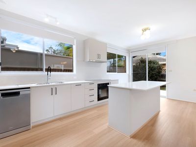 17 McMillan Avenue, Winston Hills