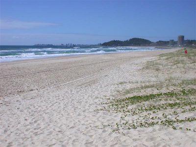 Palm Beach