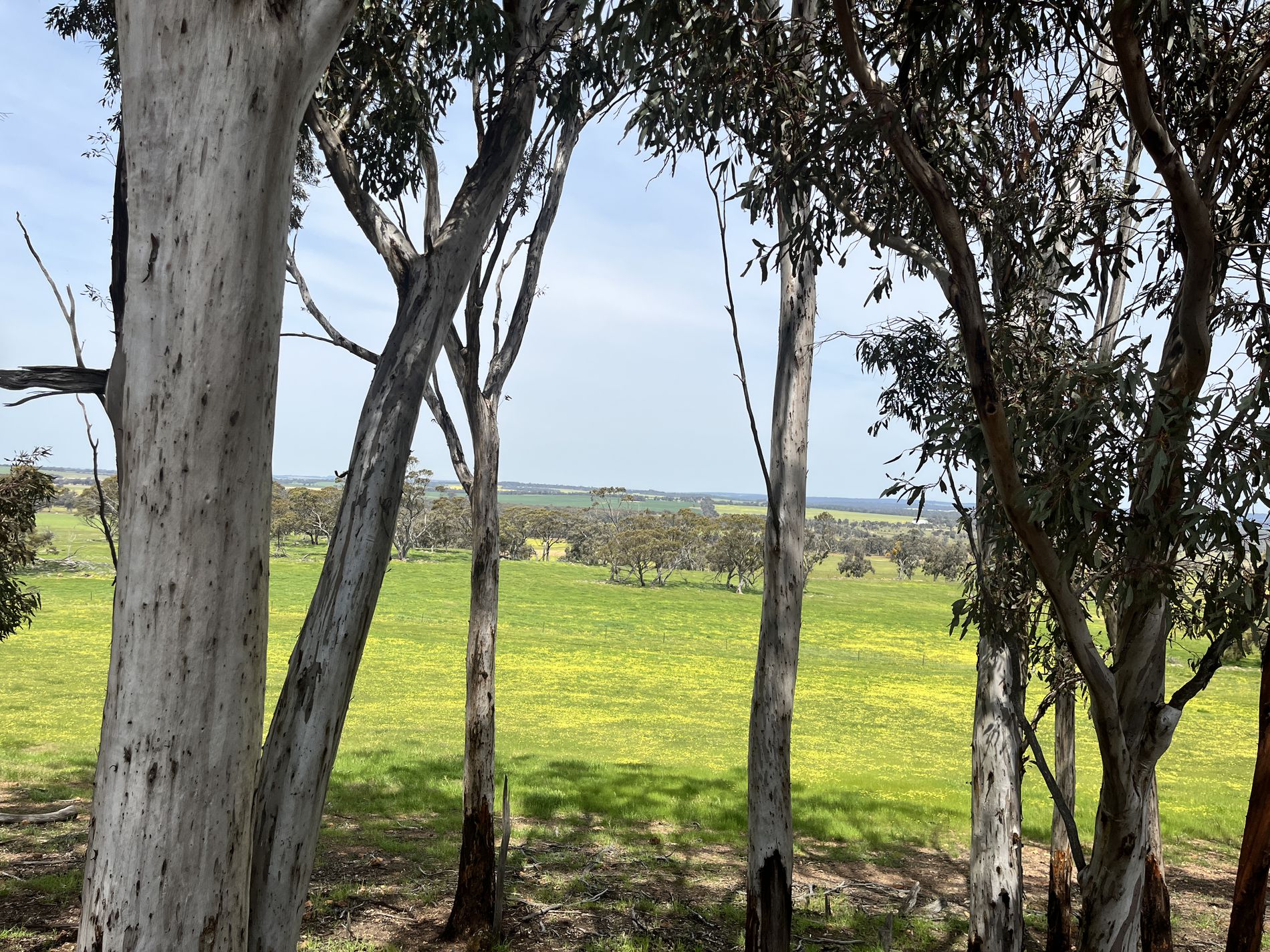 547 Bunmulling Road, Popanyinning