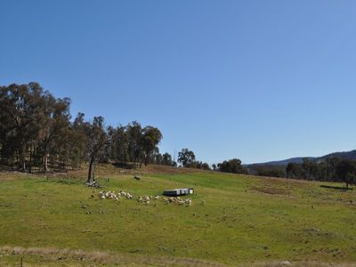 259 / Central Reserve Road, Ettamogah