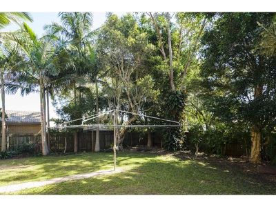 31 McNab Avenue, Tewantin