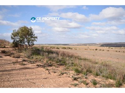 503 Klose Road, Mannum