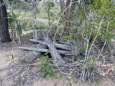 Lot 138, Kingaroy Cooyar Road Tarong, Kingaroy