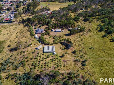 51 Castlemain Road, Ravenswood