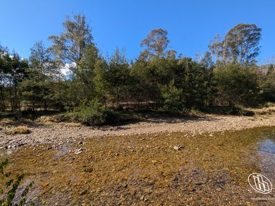 115 Gulph Creek Road, Nerrigundah