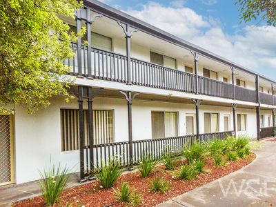 9 / 29 Everard Avenue, Ashford