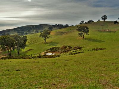 Lot 2, 101 Mcfarlanes Road, Granya