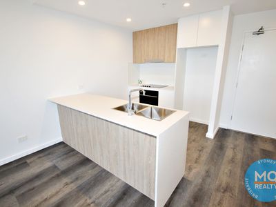607 / 11 RAPHAEL STREET, Lidcombe