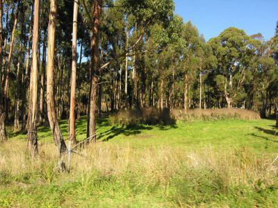 5 Lots On  Huon Highway, Port Huon