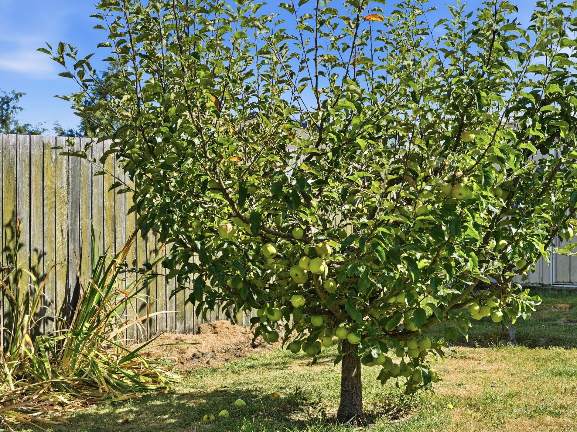 37 Thorp Street, Cygnet