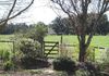 * Boomey Stud Homestead - Euchareena Road, Molong