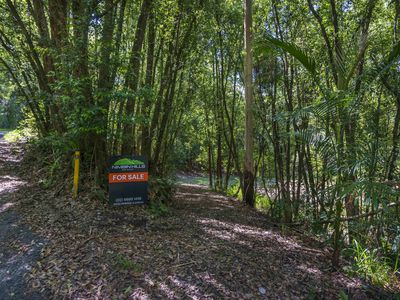 80 Robb Road, Lillian Rock