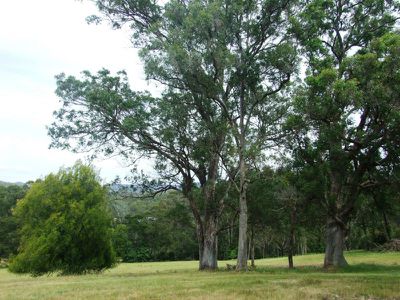 972 Mount Darragh Road, Lochiel