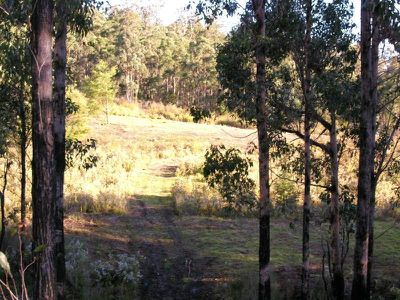 Highway, Surges Bay