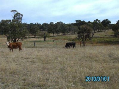 Wattle Flat