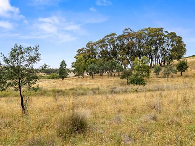 171 Boongarra Road, Laggan via, Crookwell