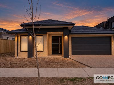 16 Mikado Way, Clyde