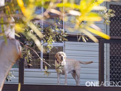 3 Pine Street, Bendalong