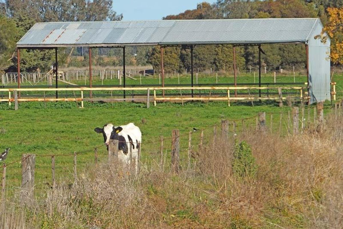 1026 Finlay Road, Kyabram