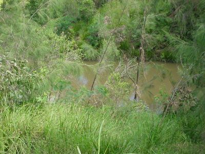 66 Gladstone Road, Sadliers Crossing