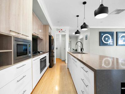 38 Wedgebill Circuit, Werribee