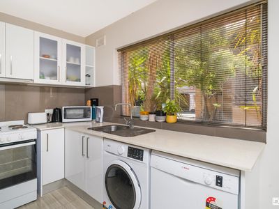 7 / 219 Scarborough Beach Road, Doubleview