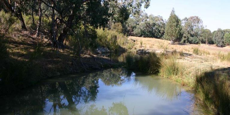 Strathbogie