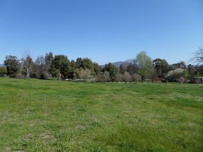 38 Hillandale Court, Bonegilla