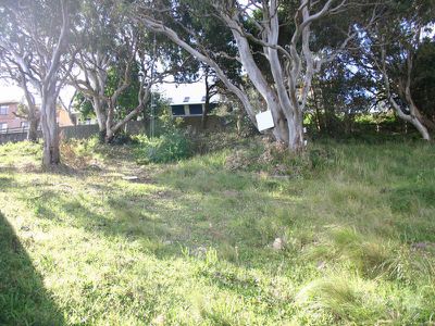 2 Michele Crescent, Forster