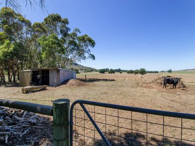 295 Carpenter Rocks Road, Moorak