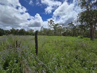 Mount Garnet