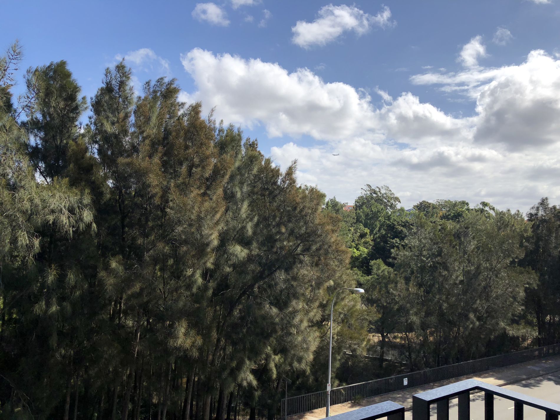 B316 / 1A The Crescent, Forest Lodge