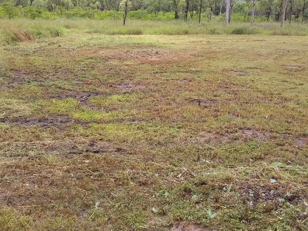 Lot 24, Peninsular Development Rd, Lakeland