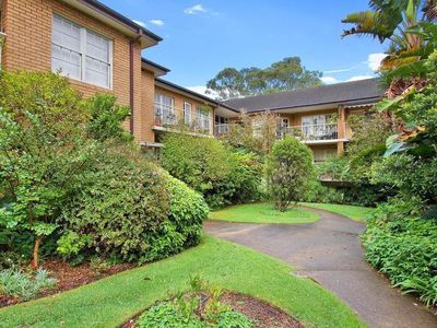 8 / 50B Ocean Street, Woollahra