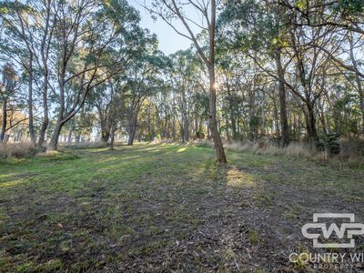 2 Ward Crescent, Glen Innes